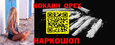 амф Гатчина