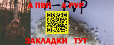 амф Гатчина