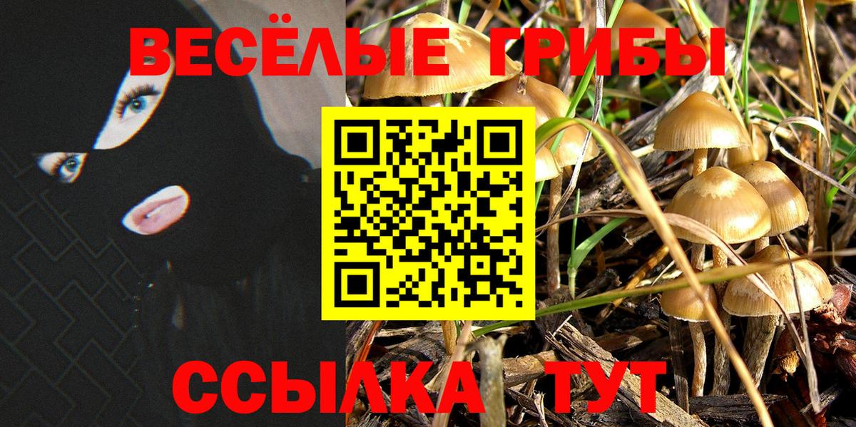 Галлюциногенные грибы Psilocybine cubensis  Вход с VPN  Жигулёвск 